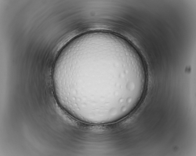 X0000114001137200910231746