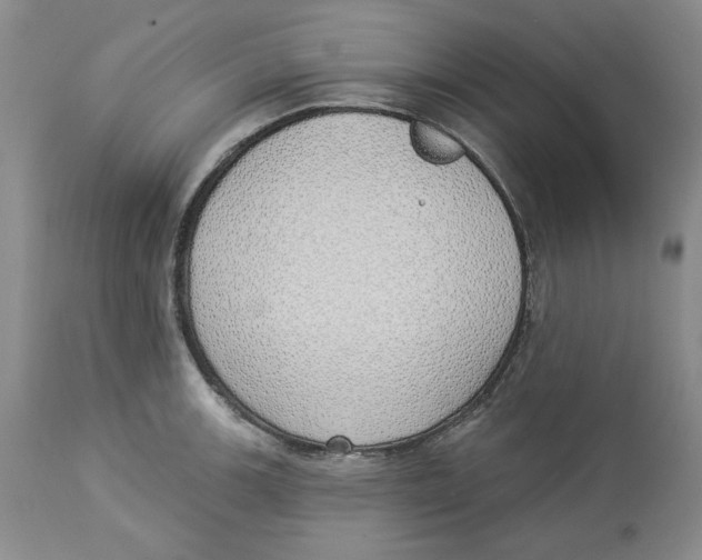 X0000114001139200910231746