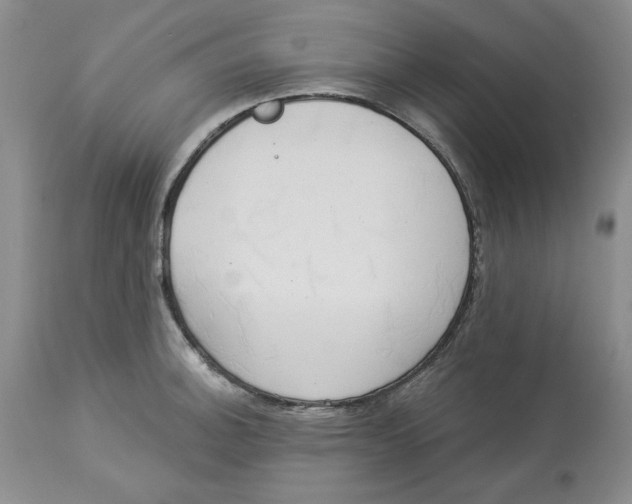 X0000114001140200910231746