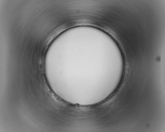 X0000114001145200910231746