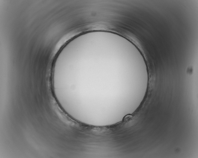X0000114001146200910231746