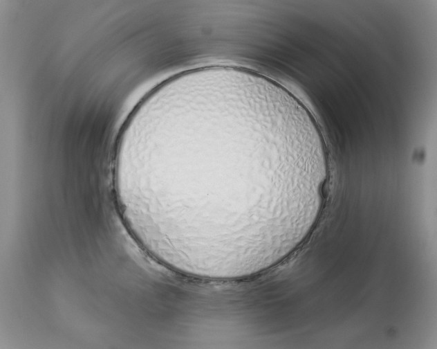 X0000114001148200910231746