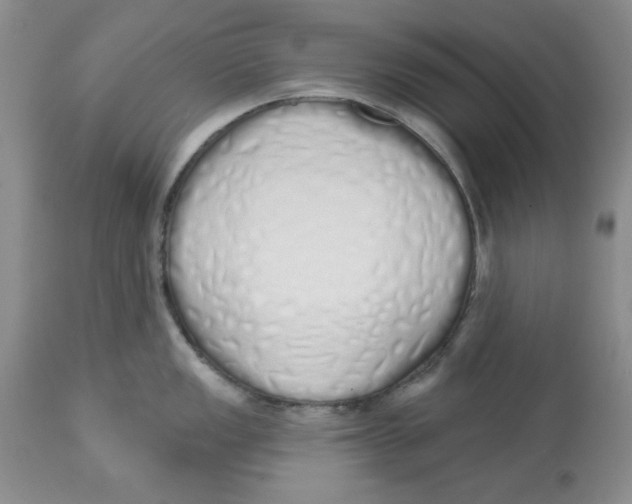 X0000114001149200910231746