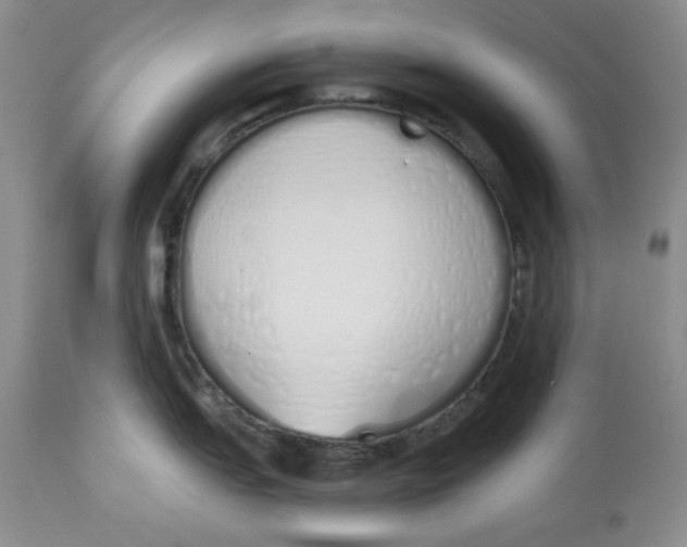 X0000114001151200910231746