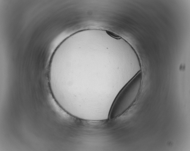 X0000114001152200910231746