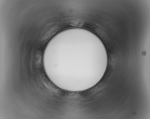 X0000114001154200910231745