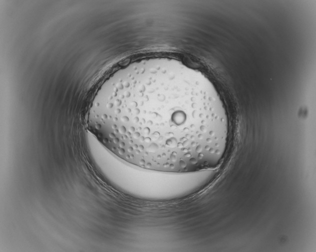 X0000114001161200910231745