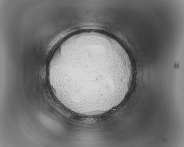 X0000114001167200910231745