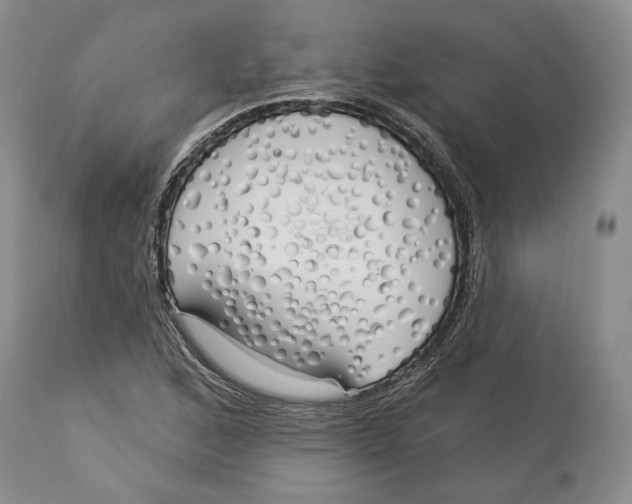 X0000114001168200910231745