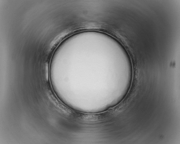 X0000114001171200910231745