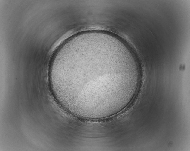 X0000114001173200910231745