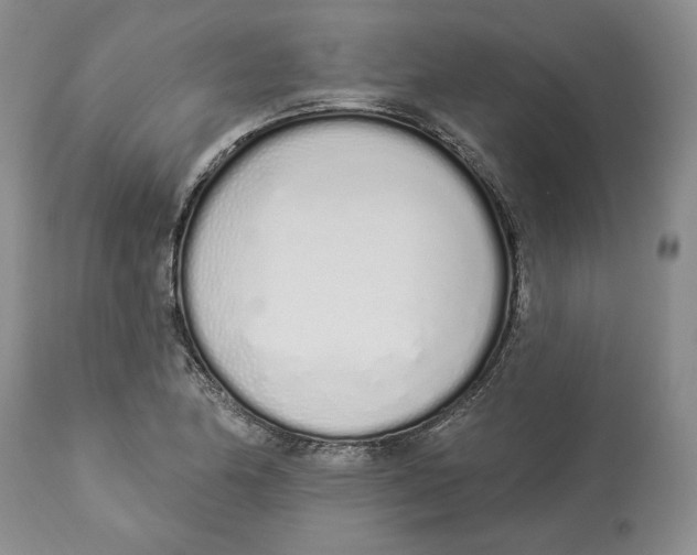 X0000114001174200910231745