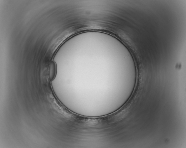 X0000114001177200910231745