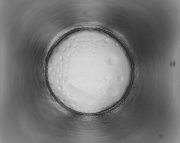 X0000114001184200910231745