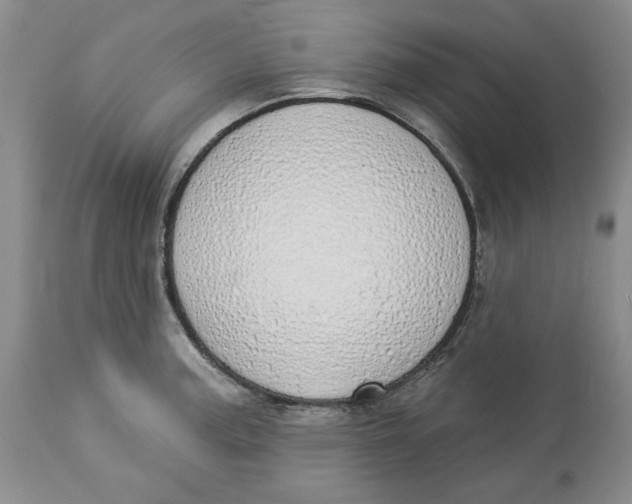 X0000114001187200910231745