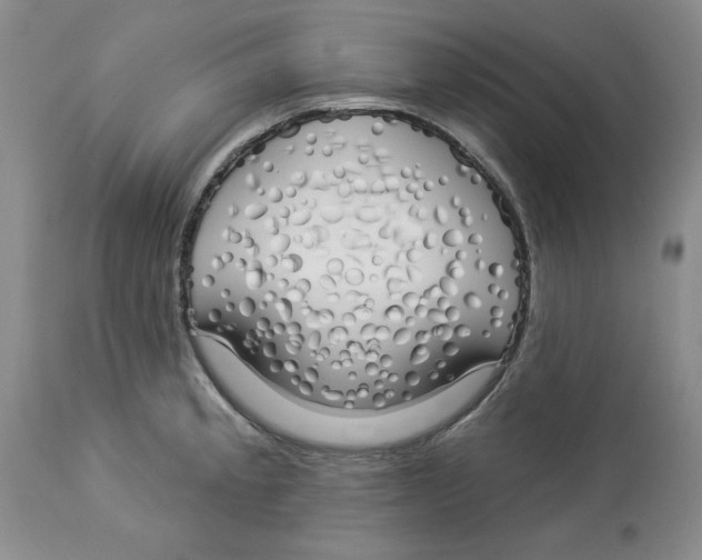 X0000114001189200910231745