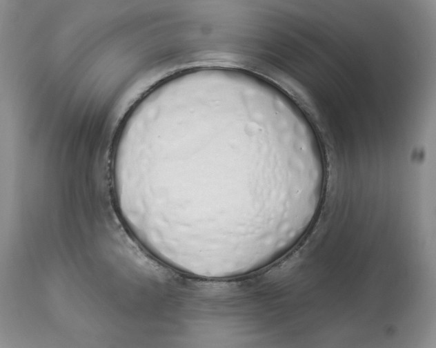 X0000114001192200910231745