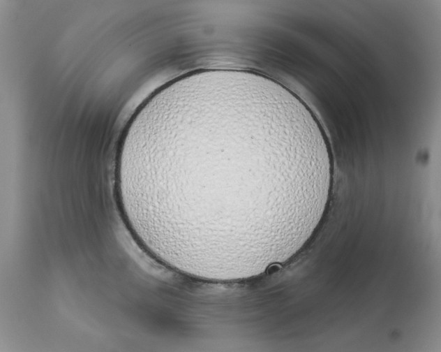 X0000114001195200910231745