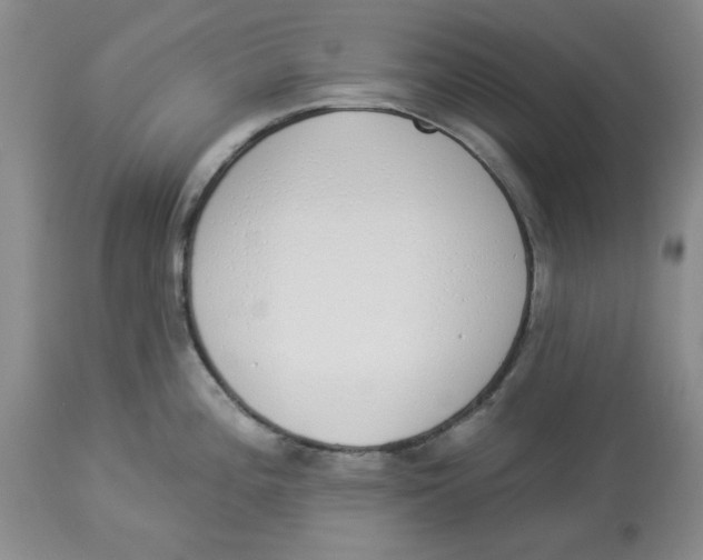 X0000114001196200910231745
