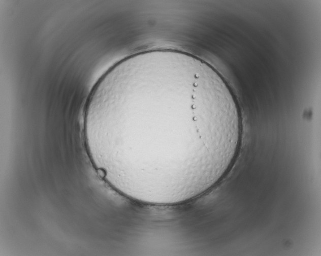 X0000114001198200910231745
