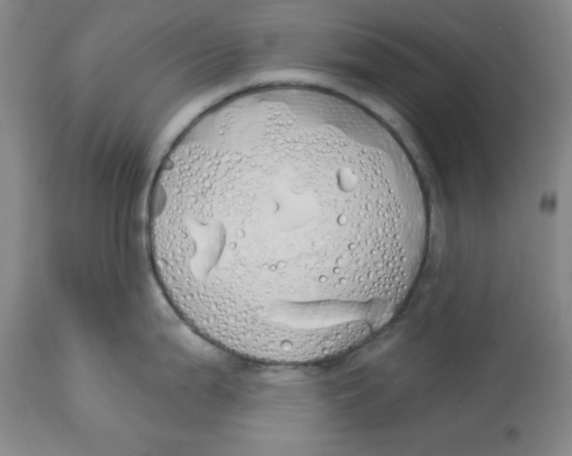 X0000114001199200910231745