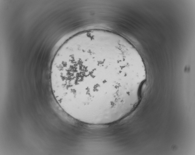 X0000114001200200910231745