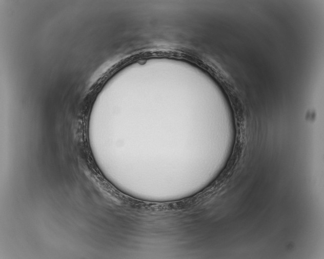 X0000114001208200910231744