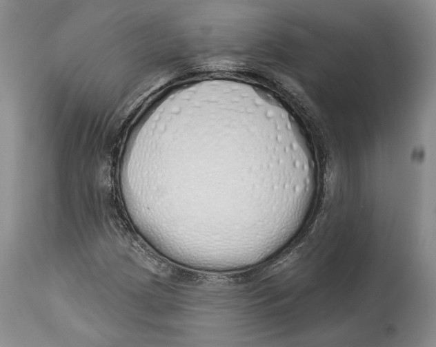 X0000114001209200910231744