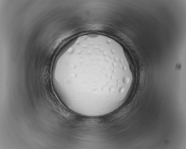 X0000114001210200910231744