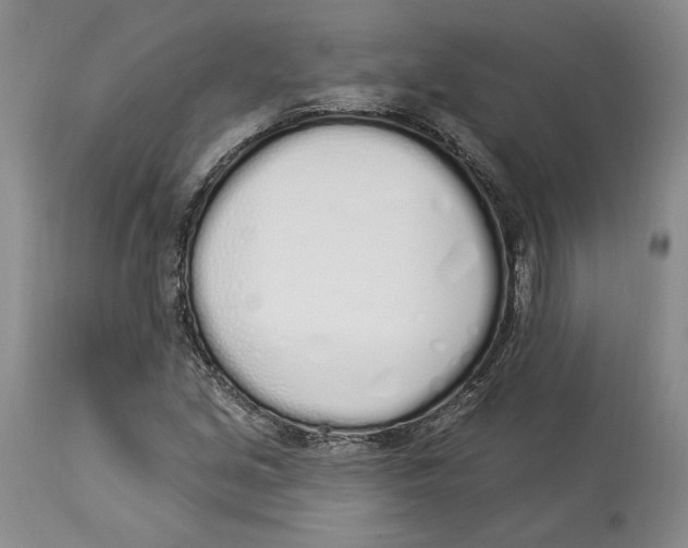 X0000114001213200910231744