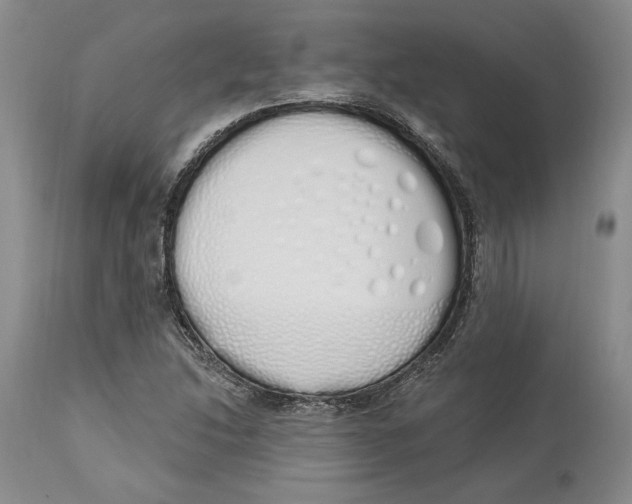 X0000114001214200910231744