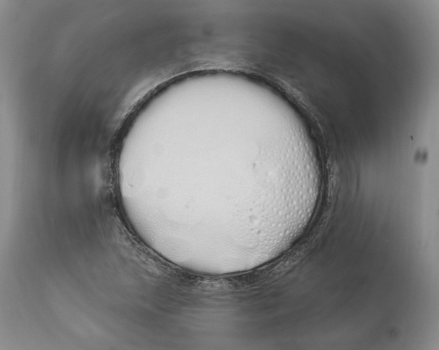 X0000114001215200910231744