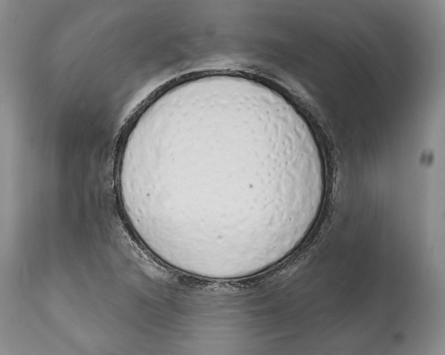 X0000114001216200910231744
