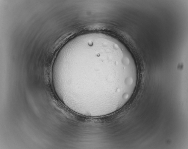 X0000114001217200910231744