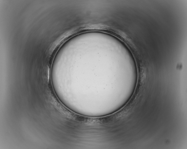 X0000114001221200910231744