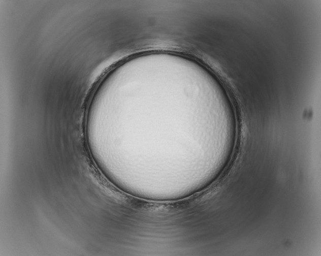 X0000114001222200910231744