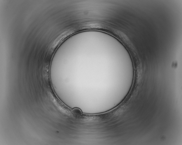X0000114001225200910231744