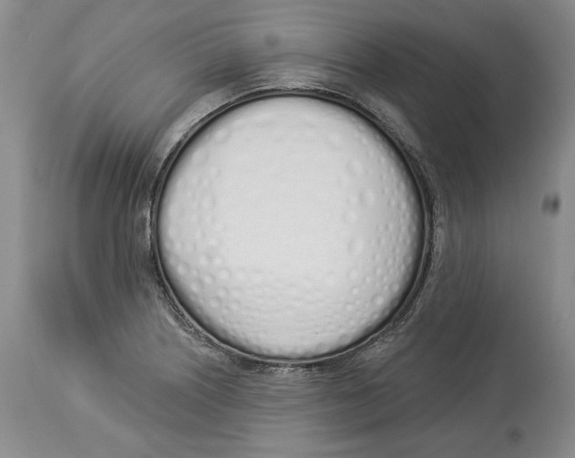 X0000114001226200910231744