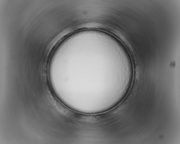 X0000114001229200910231744