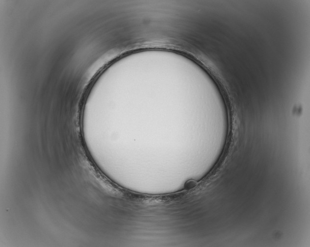 X0000114001230200910231744