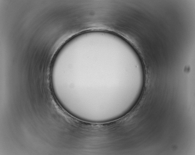 X0000114001231200910231744
