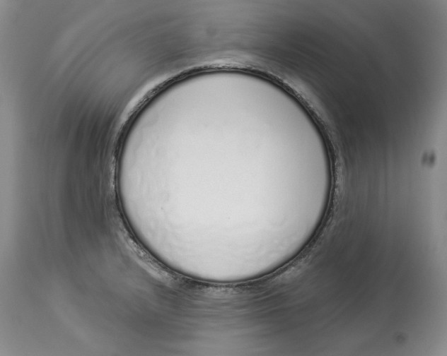 X0000114001232200910231744