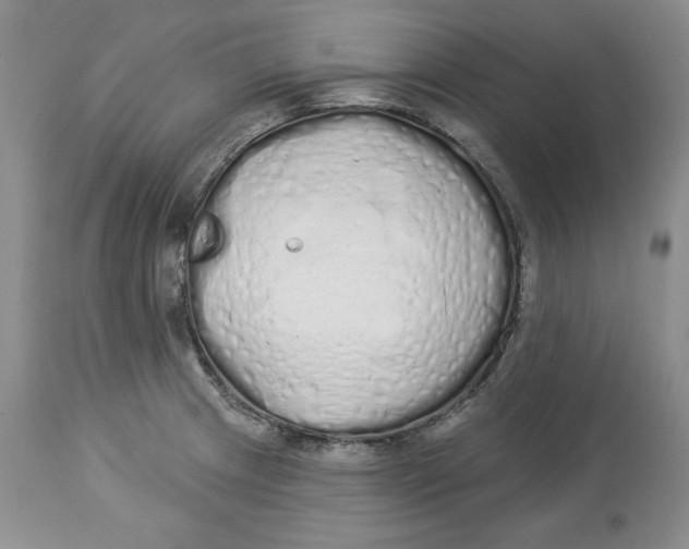 X0000114001233200910231745