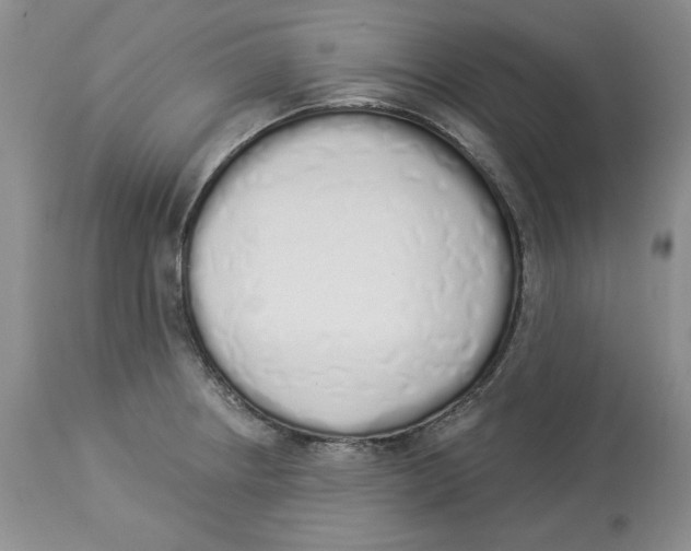 X0000114001234200910231745