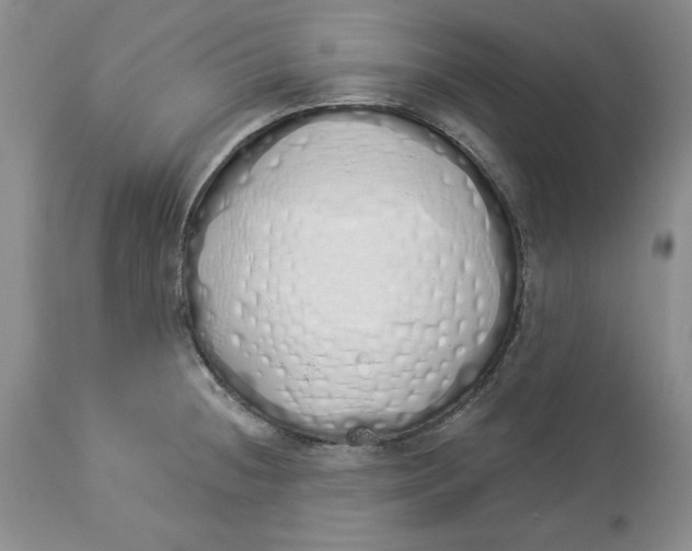 X0000114001236200910231745