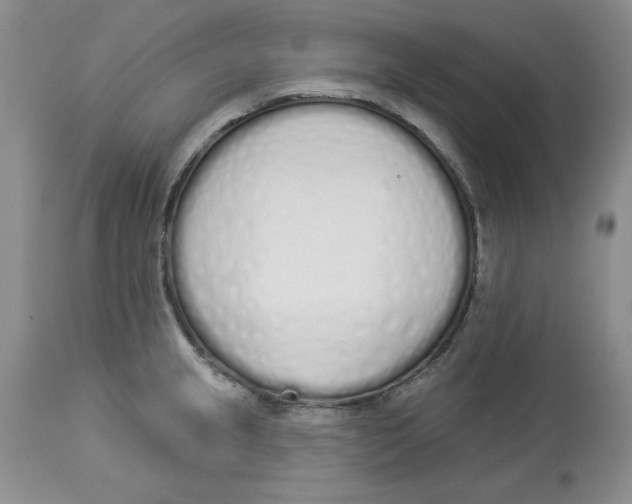 X0000114001237200910231745
