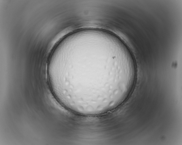 X0000114001238200910231745