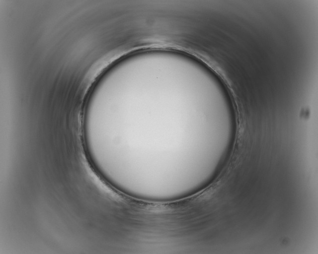 X0000114001239200910231745