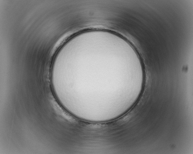 X0000114001240200910231745