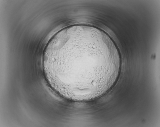 X0000114001242200910231745